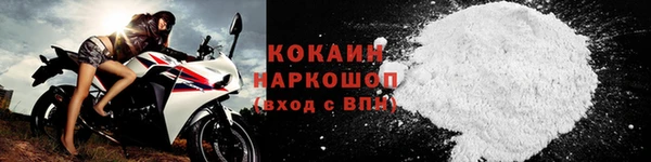 амф Новокубанск