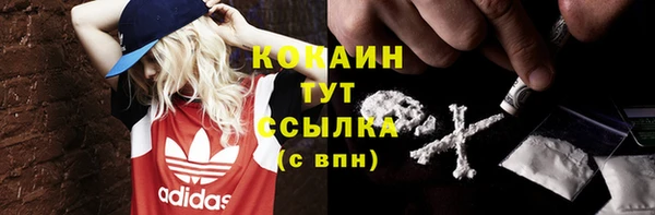 дмт Новозыбков