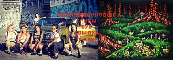 амф Новокубанск