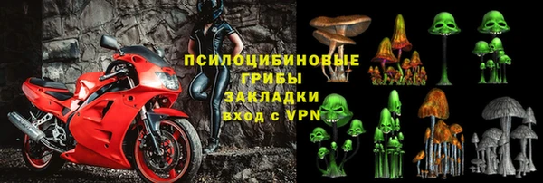 дмт Новозыбков